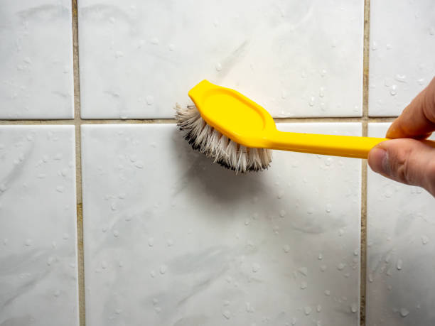 Best Preventive Mold Services in Meridian, TX