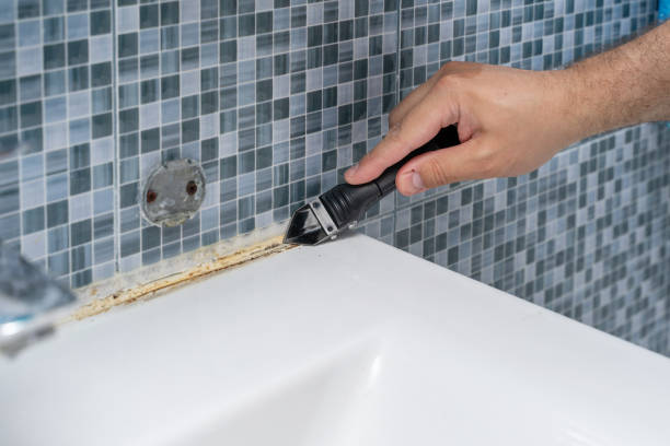 Best Insurance-Related Mold Remediation in Meridian, TX